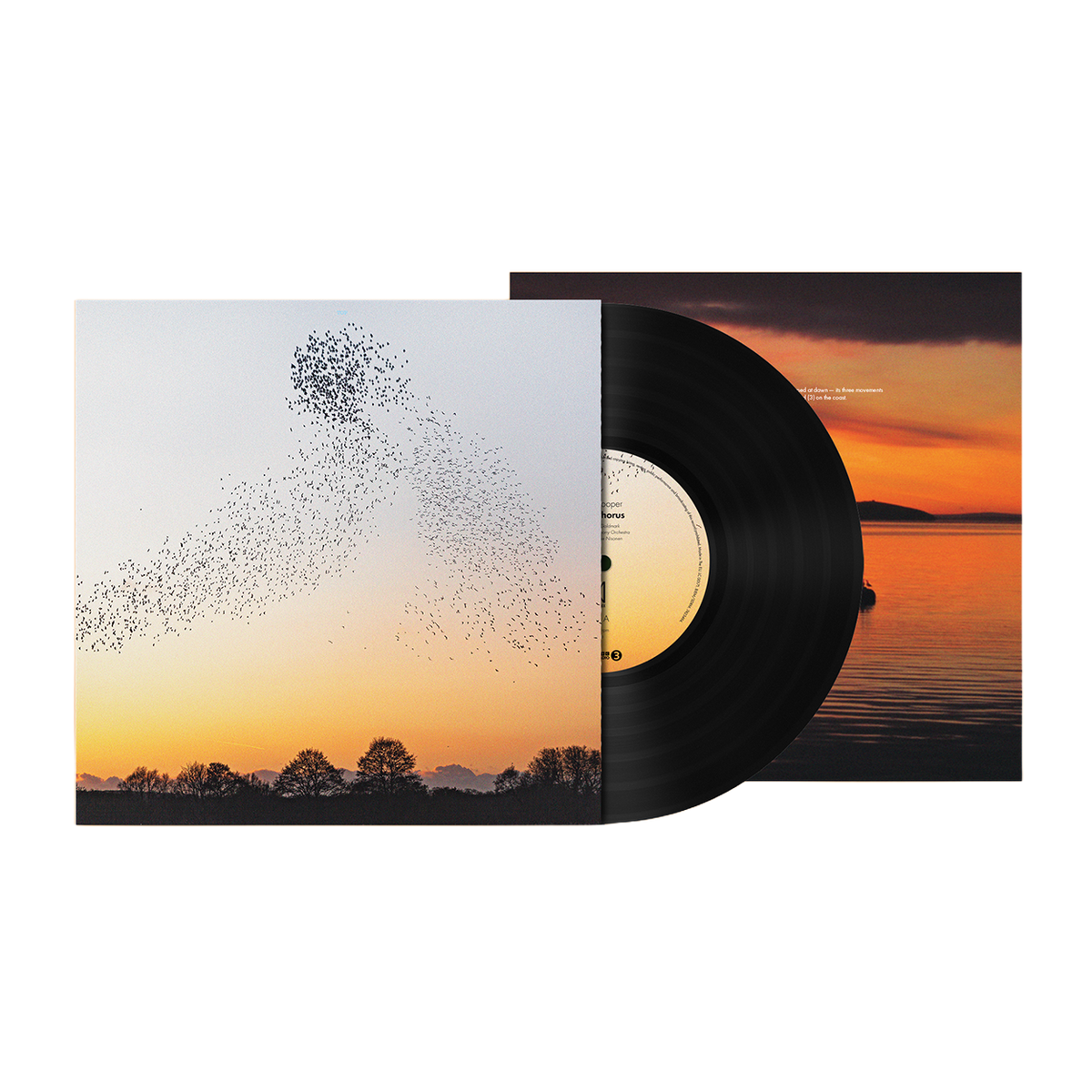 Erland Cooper - Dawn Chorus: Vinyl LP